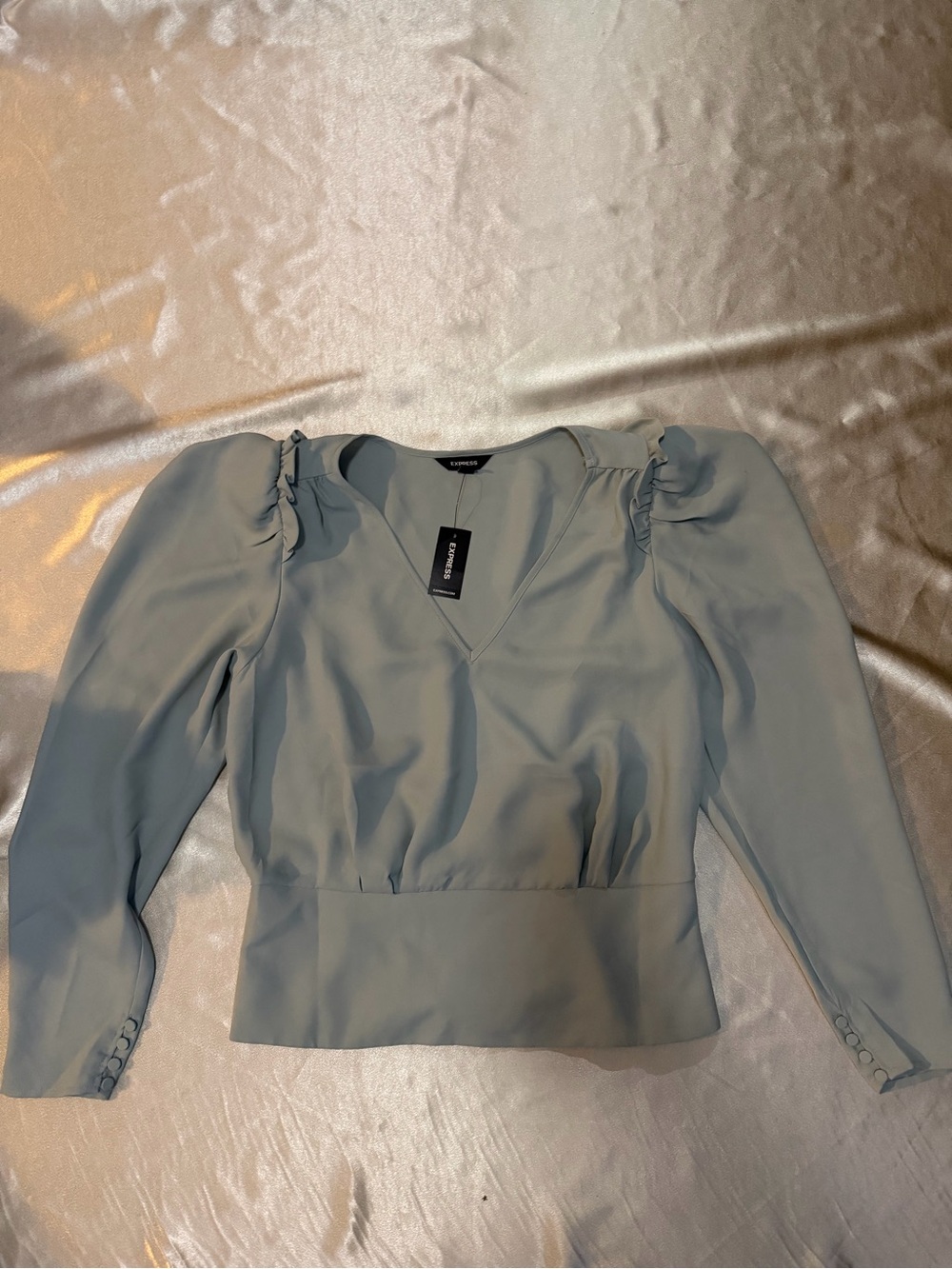 Express Puff Sleeve V-Neck Blouse Size M NWT